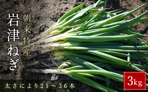 yӂ邳Ɣ[Łz sY Â˂ MLTCY iIׂe3 1kg/2kg/3kgjyӂ邳Ɣ[ lC  MLTCY  h{Lx Ԍ Â  _炩 Ă Ă˂ 