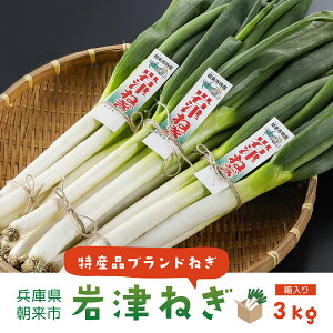 yӂ邳Ɣ[ŁzsYuÂ˂v3kgij| s\ st ˂ lM K Â˂ ˂ lM K 3L {O˂ Y VN  sY Ɍ s AS4BC15