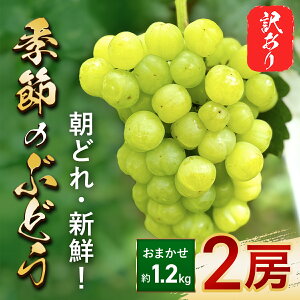 yӂ邳Ɣ[Łzyʌz󂠂 ǂ VN G߂̂Ԃǂ ܂2[Zbgi1.2kgj Ԍ ʌ Ԃǂ uhE  }XJbg ܂ Zbg lߍ킹Zbg Hה