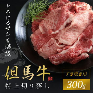 yӂ邳Ɣ[ŁzyAnz؂藎 300g (Ăp) јa Y uha ؂藎Ƃ ؂藎Ƃ ؂藎Ƃ Ă ₫ Ԃ A4Nȏ A4 Ɍ 