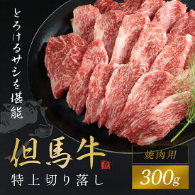 【ふるさと納税】【但馬牛】特上切り落し 300g (焼肉用) 黒毛和牛 国産牛 ブランド和牛 切り落とし 切り落とし肉 牛切り落とし 焼き肉 焼肉 BBQ バーベキュー A4ランク以上 A4ランク A4 兵庫県 朝来市 AS1BB19