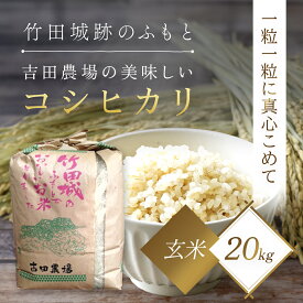 【ふるさと納税】竹田城跡の麓 吉田農場の美味しいコシヒカリ（玄米）20kg コシヒカリ こしひかり コメ こめ 米 ごはん ご飯 玄米 20キロ 兵庫県 朝来市 AS1D1