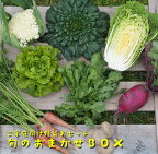 【定期便】ご家庭向けお野菜セット〜旬のおまかせBOX〜春夏秋冬4回分