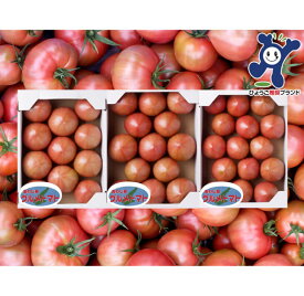 【ふるさと納税】三谷さんの淡路島グルメトマト3kg