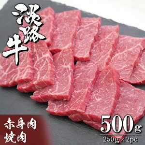 yӂ邳Ɣ[ŁzWH Ԑg̏ē500gi250g×2PCj@ Y  Ⓚ o[xL[