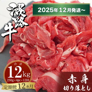 yӂ邳Ɣ[Łzy3E12zWHԐg؂藎Ƃ 1kgi250g×4PCj Y  wV[ Ⓚ uߕ ϕ
