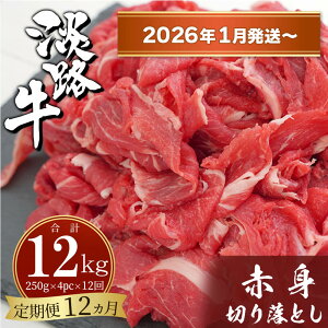 yӂ邳Ɣ[Łzy3E12zWHԐg؂藎Ƃ 1kgi250g×4PCj Y  wV[ Ⓚ uߕ ϕ