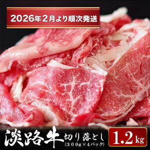 yӂ邳Ɣ[ŁzWH ؂藎Ƃ 1.2kg (300g×4pbNj  Y  Ⓚ lC