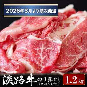 yӂ邳Ɣ[ŁzWH ؂藎Ƃ 1.2kg (300g×4pbNj  Y  Ⓚ lC