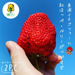 yӂ邳Ɣ[ŁzWHYZbgigق / x[|bvjy12{`1E͂wsz