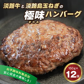 【ふるさと納税】淡路島 極味ハンバーグ 150g×12個　【淡路島玉ねぎと淡路牛】