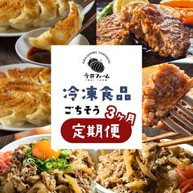 【ふるさと納税】【定期便3ヶ月】今井ファームの冷凍食品ごちそう定期便 《ハンバーグ・餃子・牛丼の具》 食べ比べ 玉ねぎ 冷凍