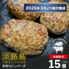 【ふるさと納税】【数量限定】淡路島手作りハンバーグ 120g×15個 国産 人気 個包装 冷凍 真空パック