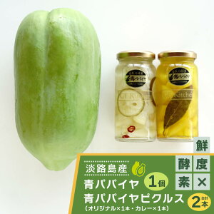 【ふるさと納税】淡路の青パパイヤ1個と青パパイヤピクルス(オリジナル・カレー)2本セット