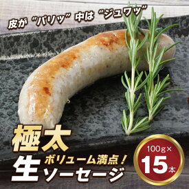 【ふるさと納税】生ポークソーセージ 100g×15本入り　冷凍 BBQ 焼肉 豚肉 弁当