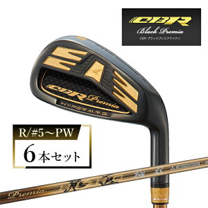 【ふるさと納税】ワークスゴルフ CBRブラックプレミアアイアン 6本セット プレミア飛匠・極 全2種(R/#5〜PW・S/#5〜PW)