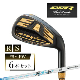 【ふるさと納税】ワークスゴルフ CBRブラックプレミアアイアン 6本セット ワークテック飛匠 全2種（R/#5〜PW・S/#5～PW）
