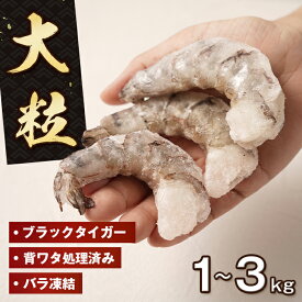 【ふるさと納税】至福の大粒むきえび　背ワタ処理済 1～3kg　[ムキエビ 大型 特大 むき海老 ブラックタイガー 下処理済み 冷凍 むきエビ エビチリ エビマヨ]
