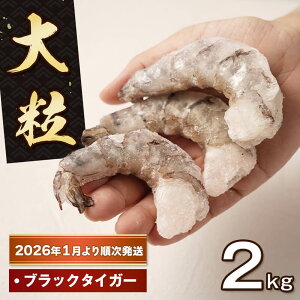 yӂ邳Ɣ[Łz̑嗱ނс@w^ 1`3kg@[LGr ^  ނCV ubN^CK[ ς Ⓚ ނGr Gr` Gr}]