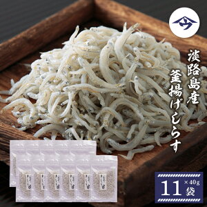 yӂ邳Ɣ[ŁzWHY g炷 40g×11  Ⓚ VX Y т̂ 炷
