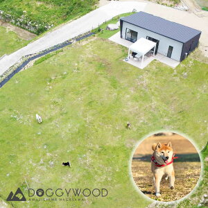 yӂ邳Ɣ[ŁzWHňƔ܂hDOGGYWOODŎghDҌ60,000`100,000~