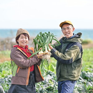 yӂ邳Ɣ[ŁzyWĤ܁`Vʂ˂zWHt@[zƊC Ԍł͂ 2kgE5kgE10kgy2026N3{`5{z