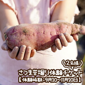 yӂ邳Ɣ[Łz܈x̌`Pbg2l y̌F920`1120z