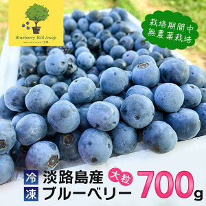 yӂ邳Ɣ[ŁzyWHYz嗱u[x[ 700g Ⓚʁs͔|ԒA_͔|t