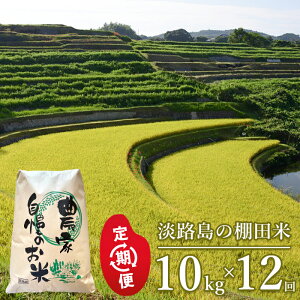 yӂ邳Ɣ[ŁzyցzWH̒Icā@10kg×6E12Eu6