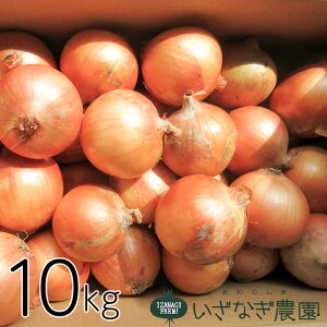 yӂ邳Ɣ[ŁzȂ_̒WH܂˂ 10kg Â ʂ˂ WHY Yn