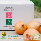 淡路島　池上農場の完熟たまねぎ「あやたけ」5kg