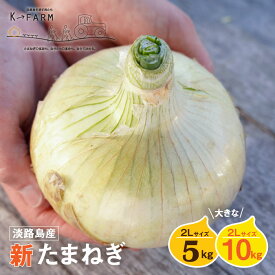 【ふるさと納税】【新たまねぎ】淡路島たまねぎ 大きな2Lサイズ 5kg・10kg【発送時期：2025年3月中旬～6月上旬頃】 玉ねぎ たまねぎ 大玉 特大 国産 野菜 サラダ用 みずみずしい 甘みたっぷり 産地直送 新鮮 人気 高評価