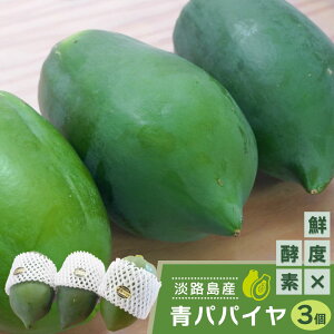 【ふるさと納税】淡路の青パパイヤ 約800g×3個セット 国産 無農薬栽培 スーパーフード