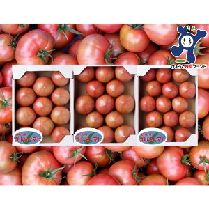 yӂ邳Ɣ[ŁzOJ̒WHOg}gR1`3kg