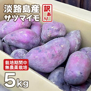 yӂ邳Ɣ[ŁzyAzWHYTc}C 5kgy͔|ԒA_͔|zĂEXC[c