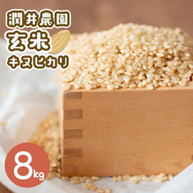 【ふるさと納税】潤井農園の玄米キヌヒカリ　8kg