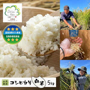 �y�ӂ邳�Ɣ[�Łz���R�͔|�@�R�V�q�J���i���āj�@5kg