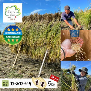 �y�ӂ邳�Ɣ[�Łz���R�͔|�@�Ђ̂Ђ���i���āj�@5kg �s���I�ʕi�̂��ߖ�A���t