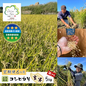 �y�ӂ邳�Ɣ[�Łz�y�����6�����z���R�͔|�@�R�V�q�J���i���āj�@5kg �s���I�ʕi�̂��ߖ�A���t