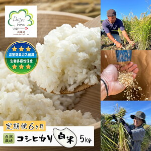 �y�ӂ邳�Ɣ[�Łz�y�����6�����z���R�͔|�@�R�V�q�J���i���āj�@5kg