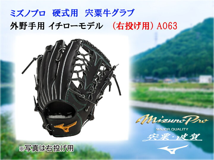 楽天市場】【ふるさと納税】AO63 ミズノプロ 硬式用 宍粟牛グラブ 外 