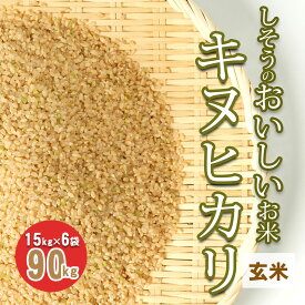 【ふるさと納税】I4　しそうのおいしいお米　キヌヒカリ玄米15Kg×6袋