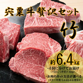 【ふるさと納税】宍粟牛 6.4kg 贅沢セット【竹】 　ステーキ しゃぶしゃぶ 定期発送 冷蔵発送 宍粟牛 国産和牛 黒毛和牛 国産 但馬牛 血統 3年肥育 牛肉 御中元 贈り物 BBQ キャンプ ご褒美 F11