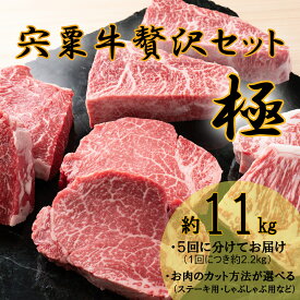【ふるさと納税】宍粟牛 11.0kg 贅沢セット【極】 　ステーキ しゃぶしゃぶ 定期発送 冷蔵発送 宍粟牛 国産和牛 黒毛和牛 国産 但馬牛 血統 3年肥育 牛肉 御中元 贈り物 BBQ キャンプ ご褒美 F13