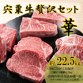 【ふるさと納税】宍粟牛 22.5kg 贅沢セット【華】 　ステーキ しゃぶしゃぶ 定期発送 冷蔵発送 宍粟牛 国産和牛 黒毛和牛 国産 但馬牛 血統 3年肥育 牛肉 御中元 贈り物 BBQ キャンプ ご褒美 F14