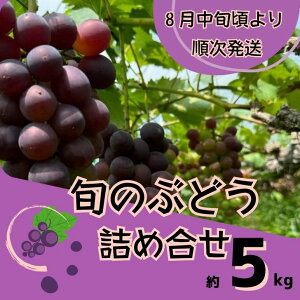yӂ邳Ɣ[ŁzY4@Ԃǂ ̋lߍ킹@5kgi8{ȍ~j@y uhE  lߍ킹 Zbg    sI[l VC}XJbg Mtg p z