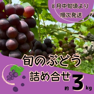 yӂ邳Ɣ[ŁzY3@Ԃǂ ̋lߍ킹@3kgi8{ȍ~j@y uhE  lߍ킹 Zbg    sI[l VC}XJbg Mtg p z
