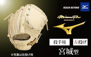 yӂ邳Ɣ[ŁzAO71@~Ymv dp 싅Ou p {^i  j@y 싅 O[u Ou sb`[  󒍐Y Mizuno Pro ÔZ  {  { z