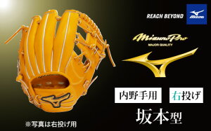 yӂ邳Ɣ[ŁzAO73@~Ymv dp 싅Ou p {^i E j@y 싅 O[u Ou   󒍐Y Mizuno Pro ÔZ E { El {El z