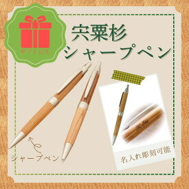 【ふるさと納税】宍粟杉 シャープペン1本（名入れ 彫刻可能）オリジナル シャーペン 木製 ネーム 文字入れ お祝い 贈答 プレゼント 卒業 入学 合格 進学 兵庫県 宍粟市 しそうし RS2